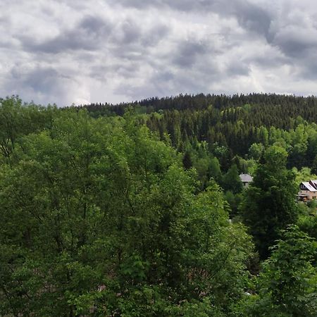 Smržovka Sky One & Twoヴィラ エクステリア 写真